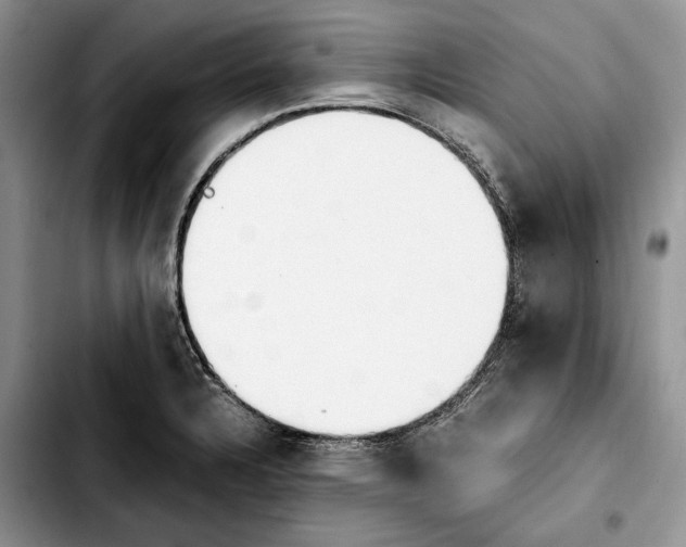 X0000103941328200810101407