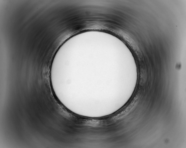 X0000103941329200810101407