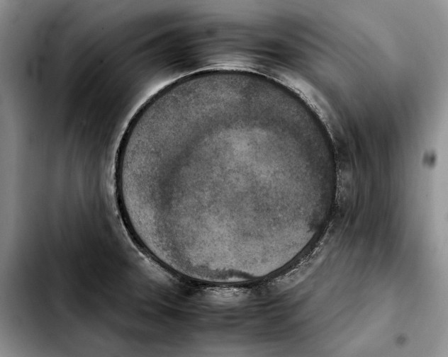 X0000103941331200810101407