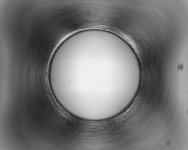 X0000103941332200810101407