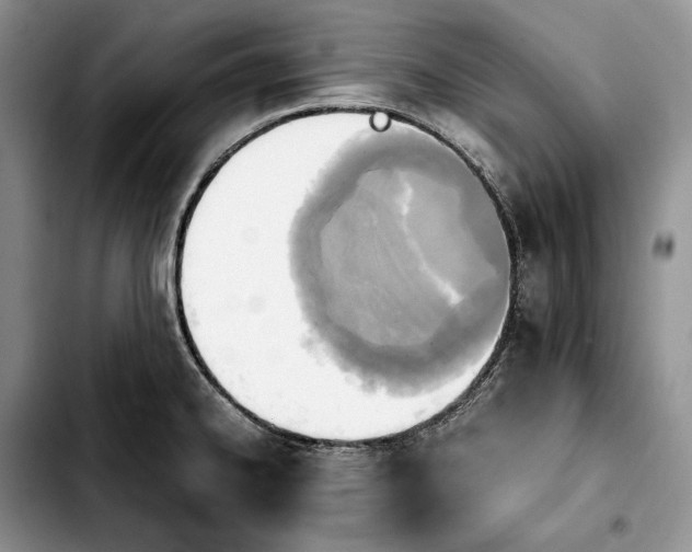 X0000103941334200810101407