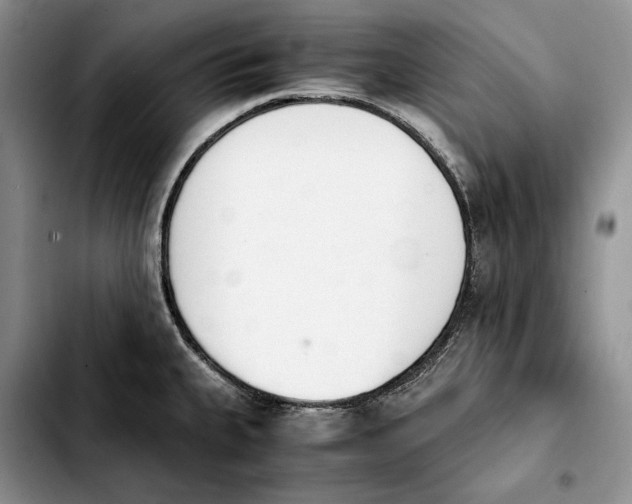 X0000103941335200810101407