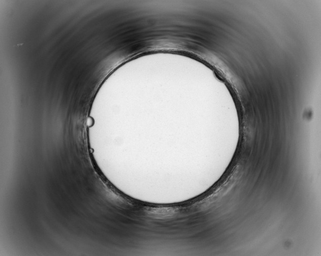 X0000103941337200810101407