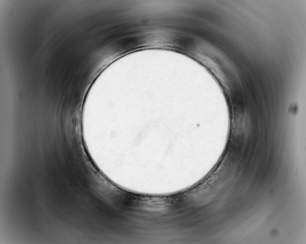 X0000103941338200810101407