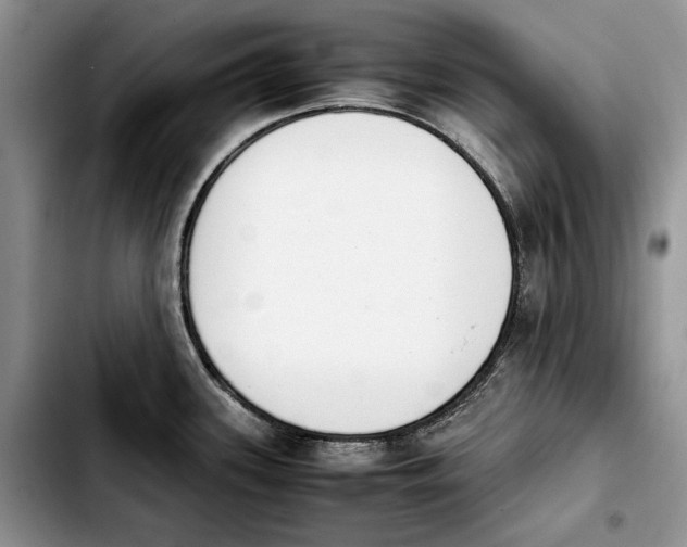 X0000103941339200810101407