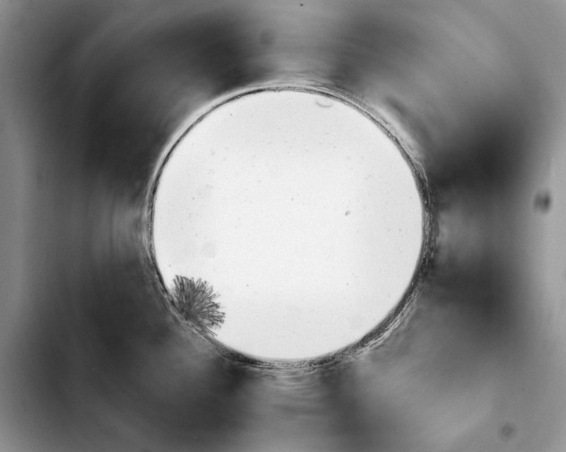 X0000103941340200810101407