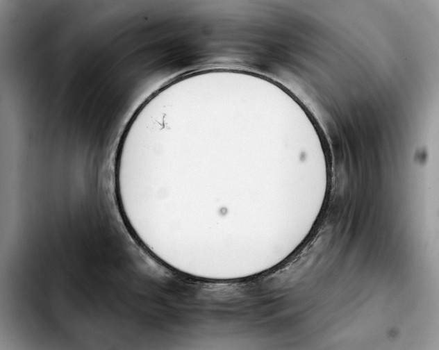 X0000103941341200810101407