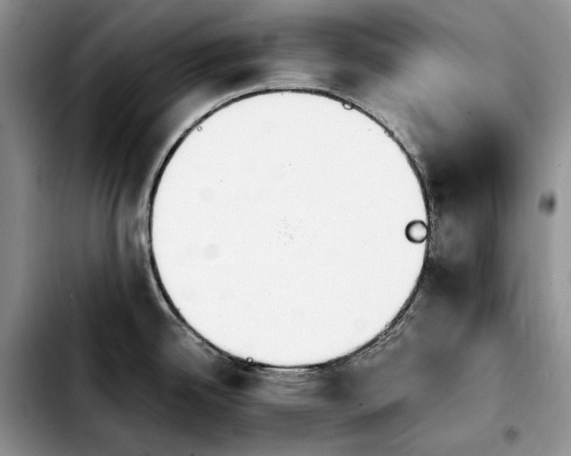 X0000103941342200810101408