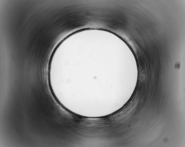 X0000103941343200810101408