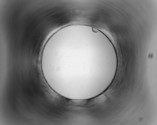 X0000103941344200810101408