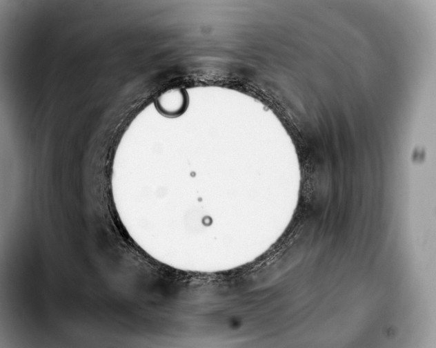 X0000103941345200810101407