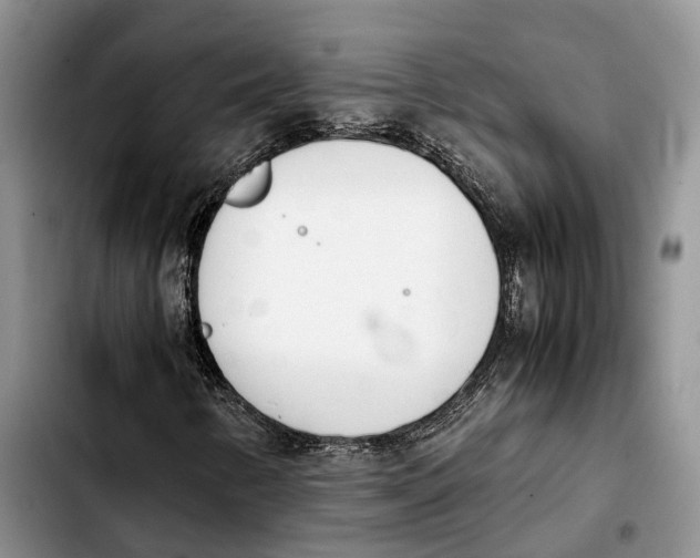 X0000103941346200810101407