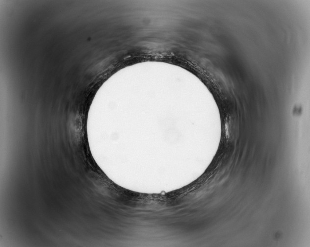 X0000103941347200810101407