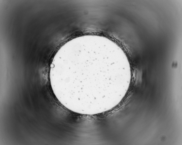 X0000103941348200810101407