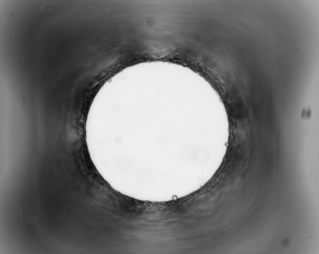 X0000103941349200810101407