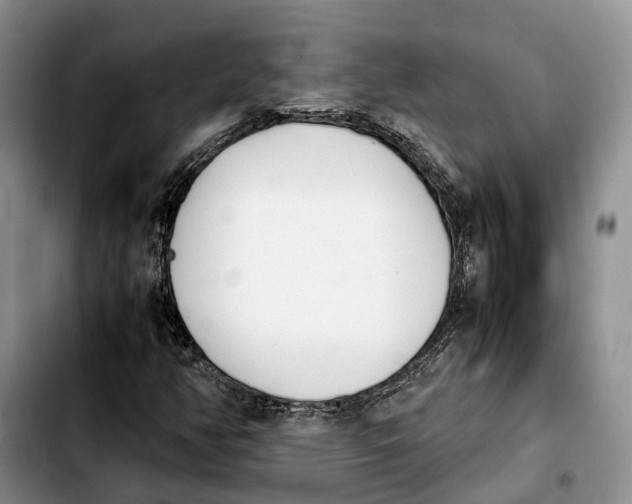 X0000103941350200810101407