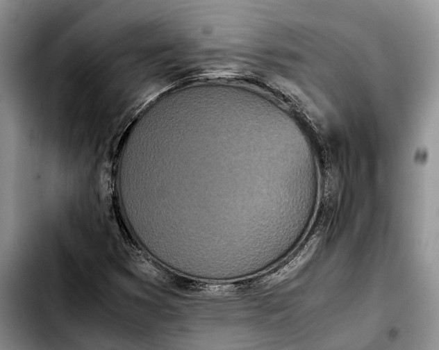 X0000103941353200810101407