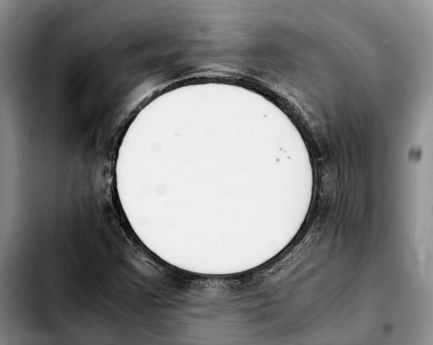 X0000103941355200810101407