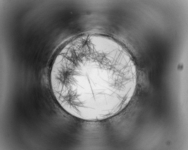 X0000103941356200810101407