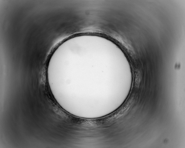 X0000103941358200810101407