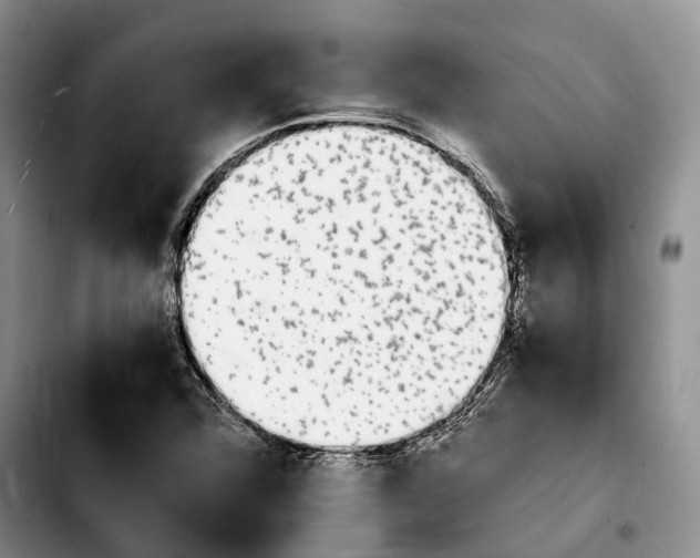 X0000103941360200810101407