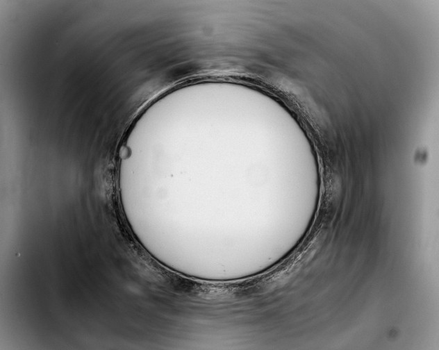 X0000103941361200810101407