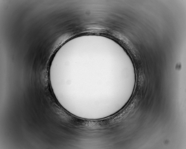 X0000103941362200810101407