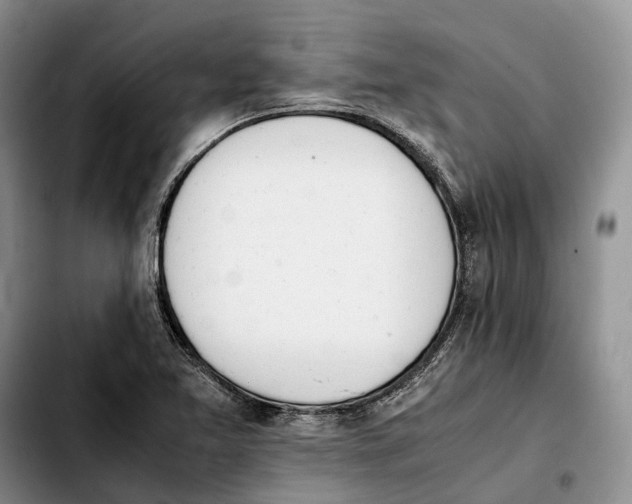 X0000103941365200810101407