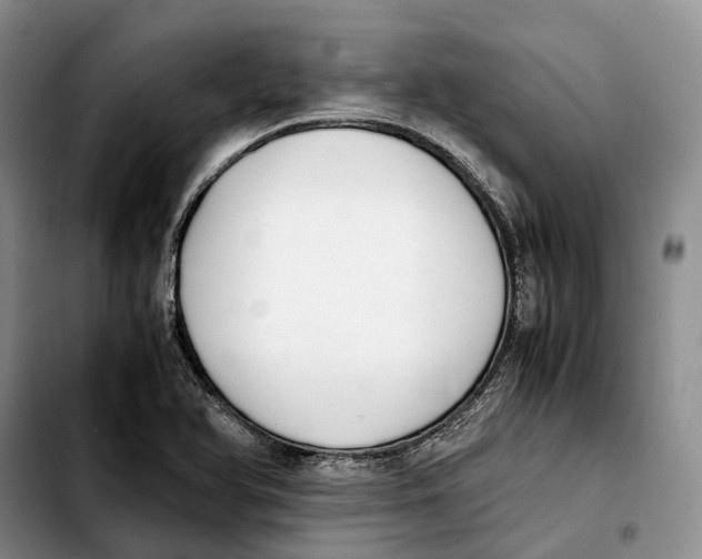 X0000103941366200810101407