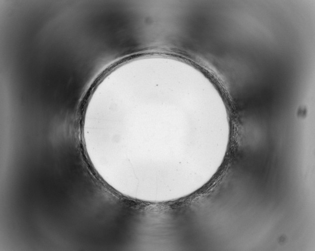 X0000103941368200810101407