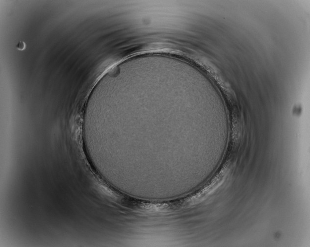 X0000103941369200810101406