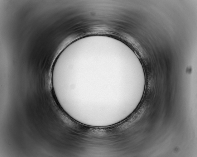 X0000103941370200810101406