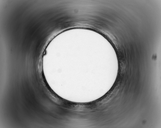 X0000103941371200810101406