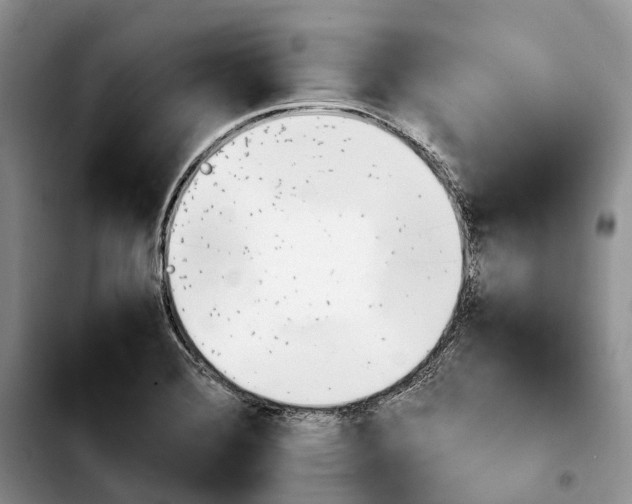 X0000103941372200810101406