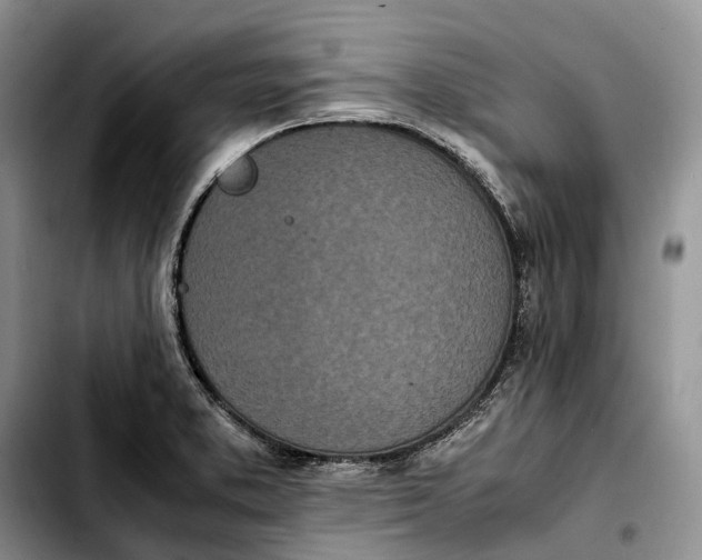 X0000103941373200810101406