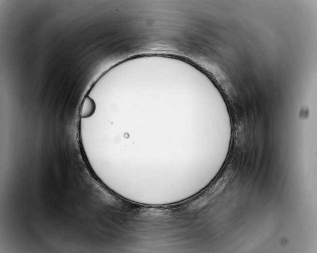 X0000103941374200810101406