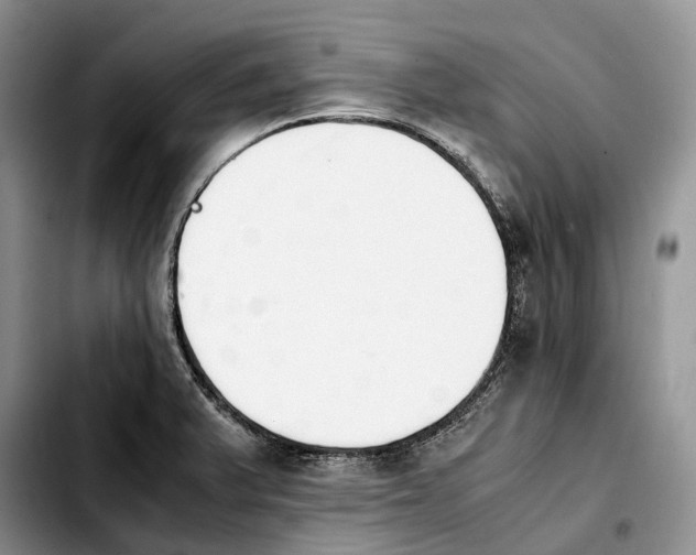 X0000103941375200810101406