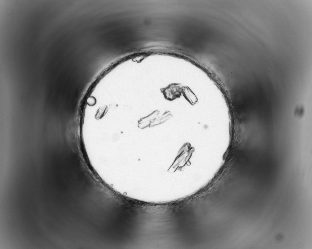 X0000103941376200810101406