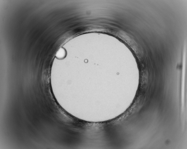 X0000103941377200810101406