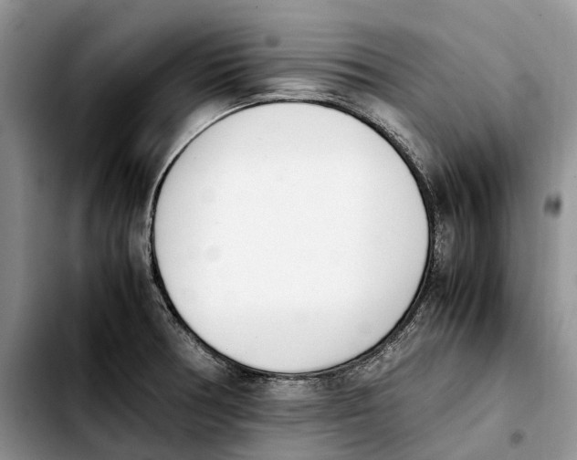 X0000103941378200810101406