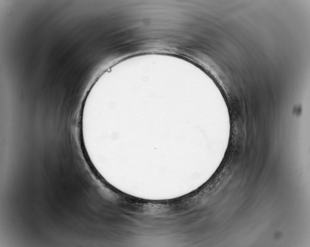 X0000103941379200810101406