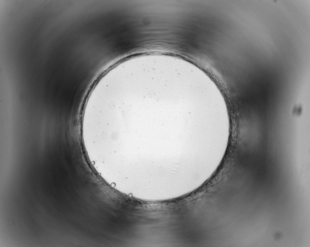 X0000103941380200810101406