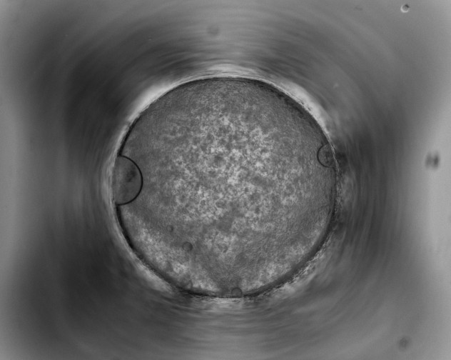 X0000103941381200810101406