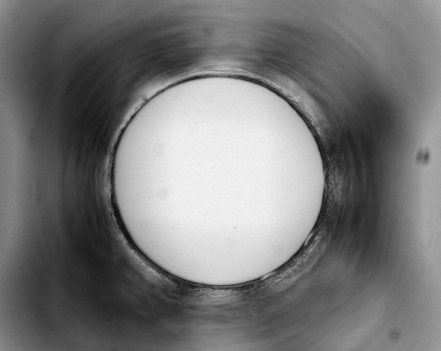 X0000103941382200810101406