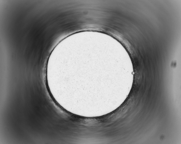 X0000103941383200810101406