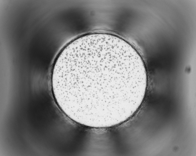 X0000103941384200810101406