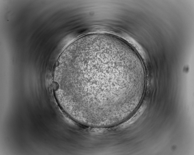 X0000103941385200810101406