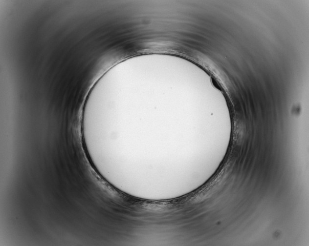 X0000103941386200810101406