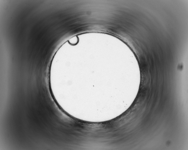 X0000103941387200810101406