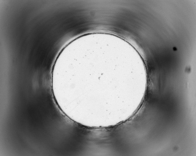 X0000103941388200810101406